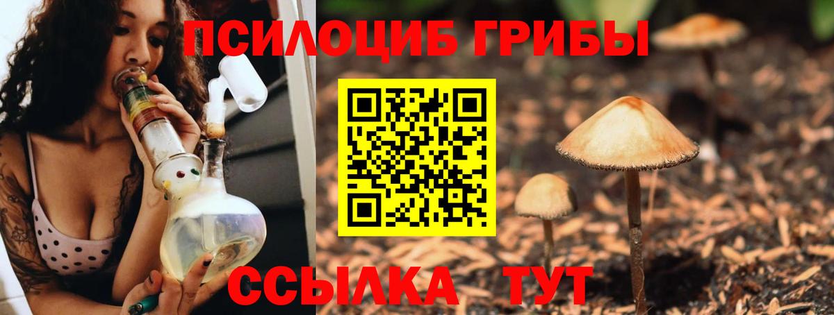 Галлюциногенные грибы мицелий  Вход с VPN  Рубцовск 
